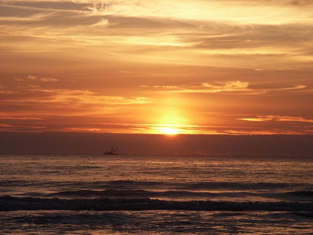 62 -New Years trip-Cumberland Island