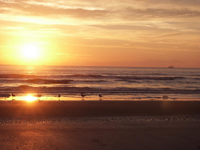 63 -New Years trip-Cumberland Island
