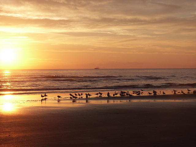 64 -New Years trip-Cumberland Island