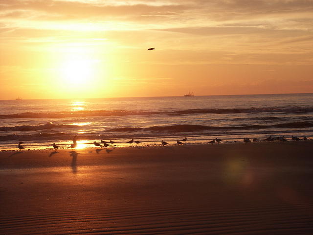 66 -New Years trip-Cumberland Island