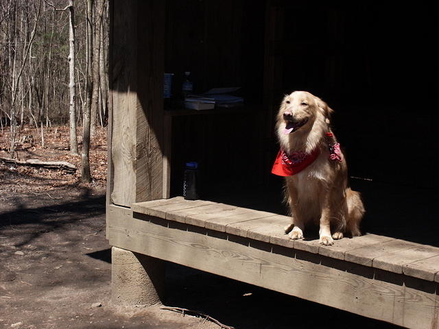 01-AT hike at Hightower Gap