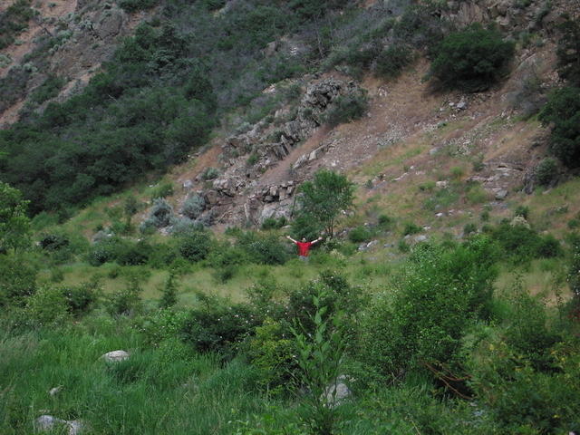 25-Colorado-