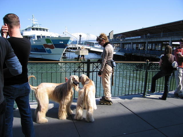 039-T&A in San Francisco