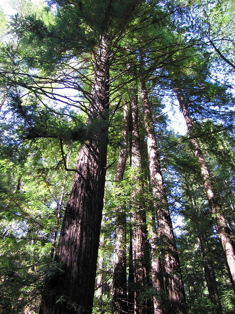 111-T&A in San Francisco