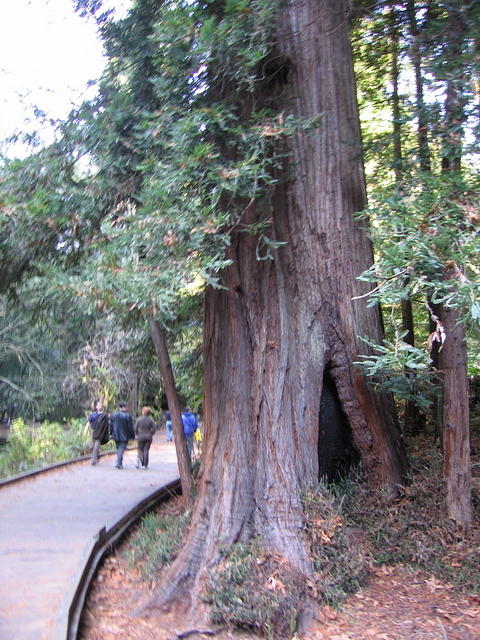 113-T&A in San Francisco