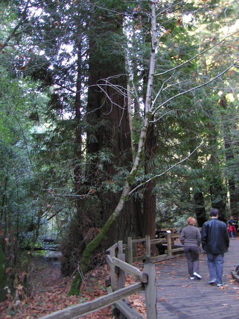 114-T&A in San Francisco