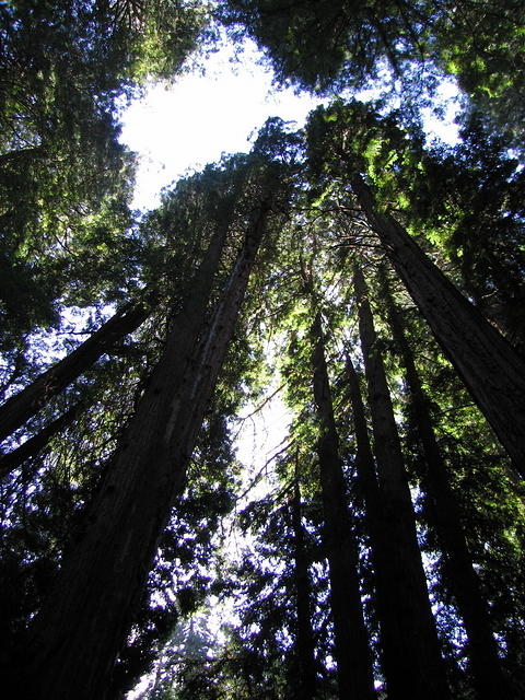 116-T&A in San Francisco