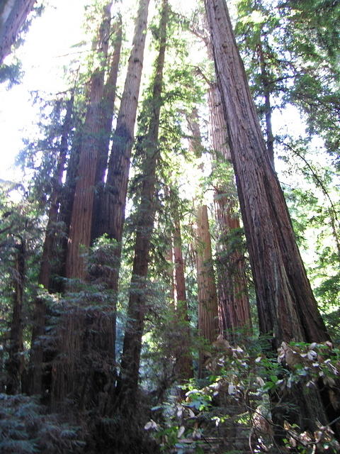 117-T&A in San Francisco