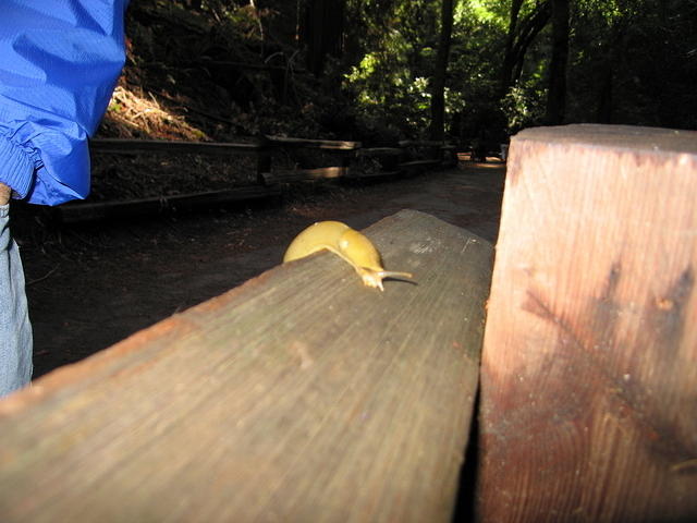 119-T&A in San Francisco