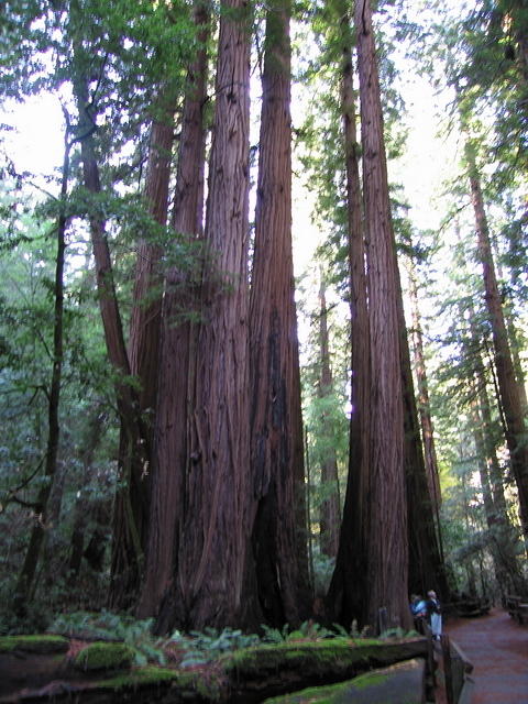 123-T&A in San Francisco