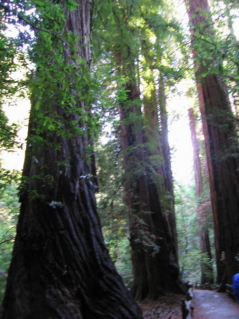 125-T&A in San Francisco