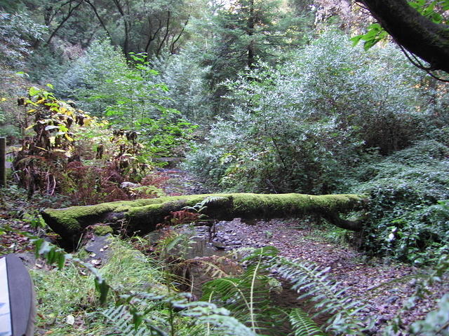 128-T&A in San Francisco