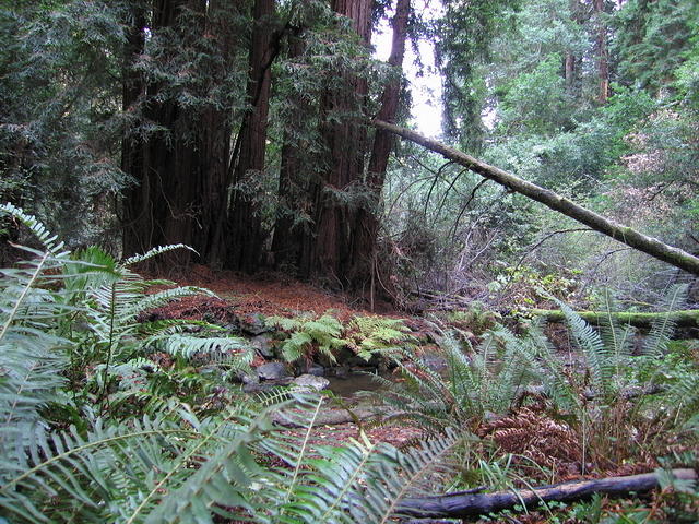 129-T&A in San Francisco