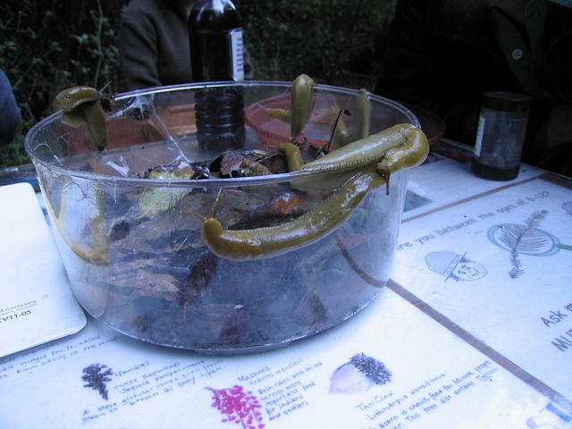 130-T&A in San Francisco