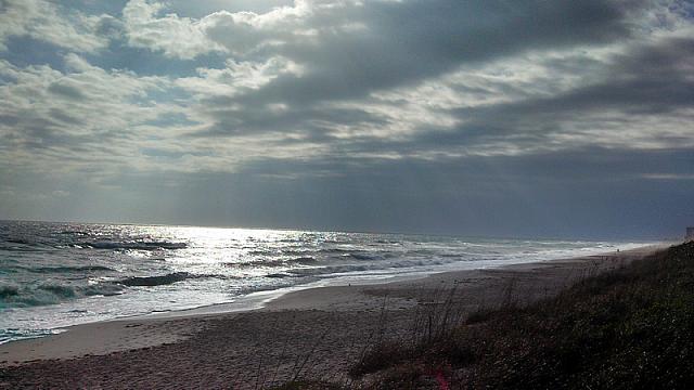 2013-01-25 Florida trip 024