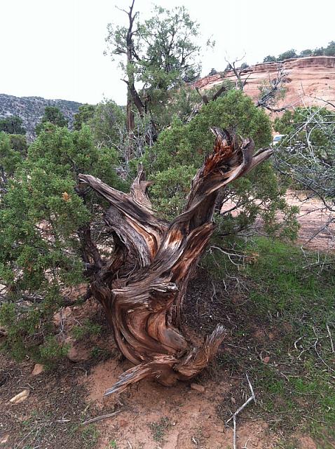 2013-09-21 Grand Junction- Fruita trip 057