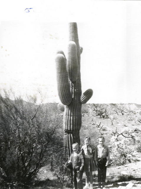 19__-52