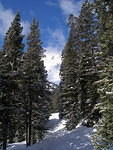 2010-02-27 Lost Wonder Hut 10