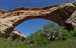 2010-05-21 Natural Bridges and Little Wild Horse slot canyon