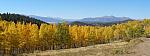 2010-09-19 Leaf looking-Aspen Ridge 07a