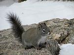 2011-03-19 Lyons 28