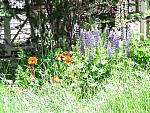 2011-07-21 Telluride 035