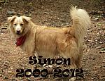 2000-2012 Simon