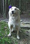 2003-10-05(1)