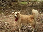 2004-05-15 Lake Conasauga-09