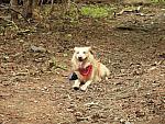2004-05-15 Lake Conasauga-12