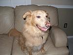 2006-12-21 Ft Myers, FL 03