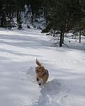 2007-01-27 Snowshoe with Simon 05