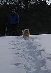 2007-01-27 Snowshoe with Simon 09