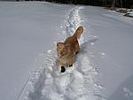 2007-01-27 Snowshoe with Simon 17