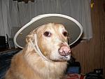 2007-02-01 Simon 03