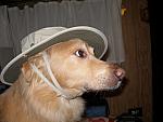 2007-02-01 Simon 04
