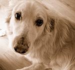 2007-09-07 Simon2