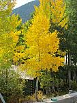 2012-09-23 trip to Kebler Pass 003