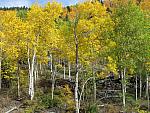 2012-09-23 trip to Kebler Pass 006