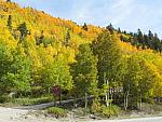 2012-09-23 trip to Kebler Pass 011