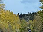 2012-09-23 trip to Kebler Pass 031