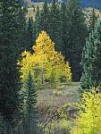 2012-09-23 trip to Kebler Pass 036