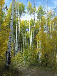 2012-09-23 trip to Kebler Pass 099
