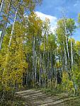 2012-09-23 trip to Kebler Pass 100