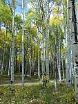 2012-09-23 trip to Kebler Pass 102 - Copy