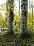2012-09-23 trip to Kebler Pass 103