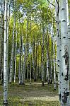 2012-09-23 trip to Kebler Pass 106 - Copy