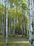 2012-09-23 trip to Kebler Pass 106