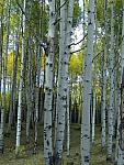 2012-09-23 trip to Kebler Pass 107