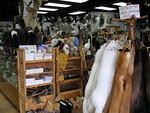 2006-08-10 Ketchikan, AK 23